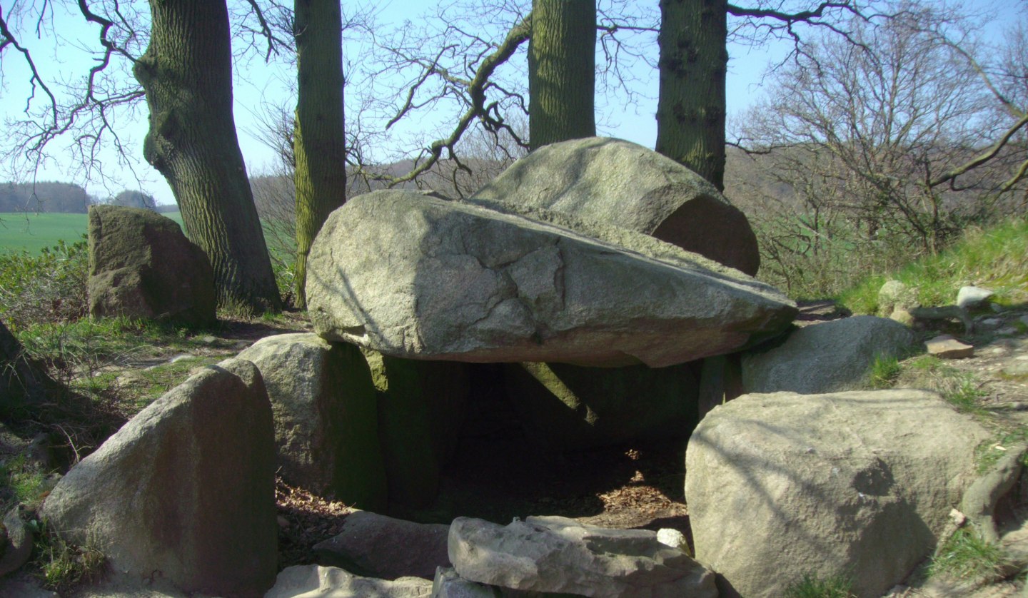 Radwanderung Wasser, Wald und Großsteingräber, © Naturerlebnisverein Rügen e.V.