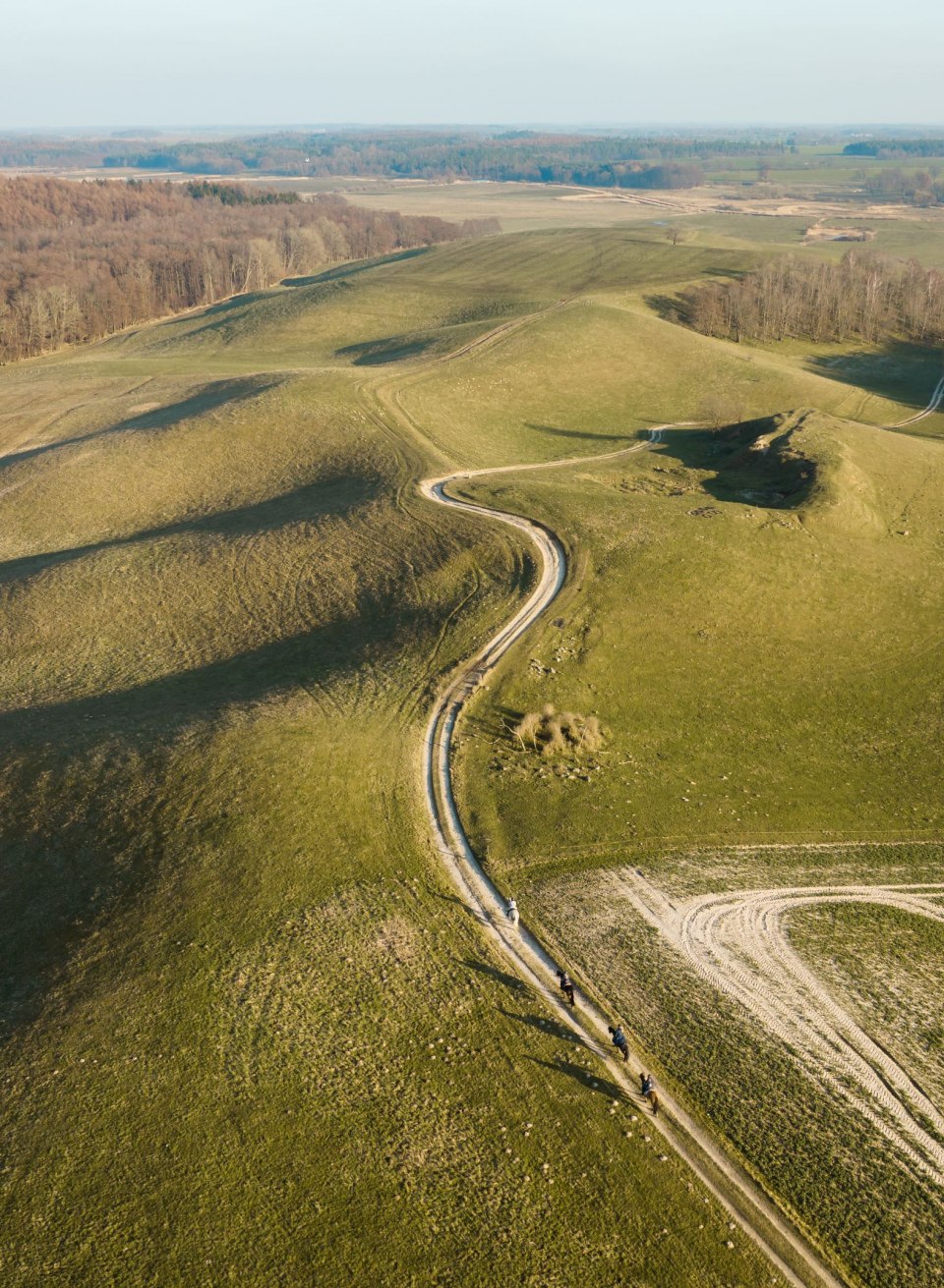 Eine Gruppe von Reitern genießt einen entspannten Ausritt vom Gutshaus Ehmkendorf durch das weite, sanft geschwungene Recknitztal. Die sattgrünen Hügel und die ruhige Landschaft bieten die perfekte Kulisse für ein friedliches Naturerlebnis in Mecklenburg-Vorpommern.