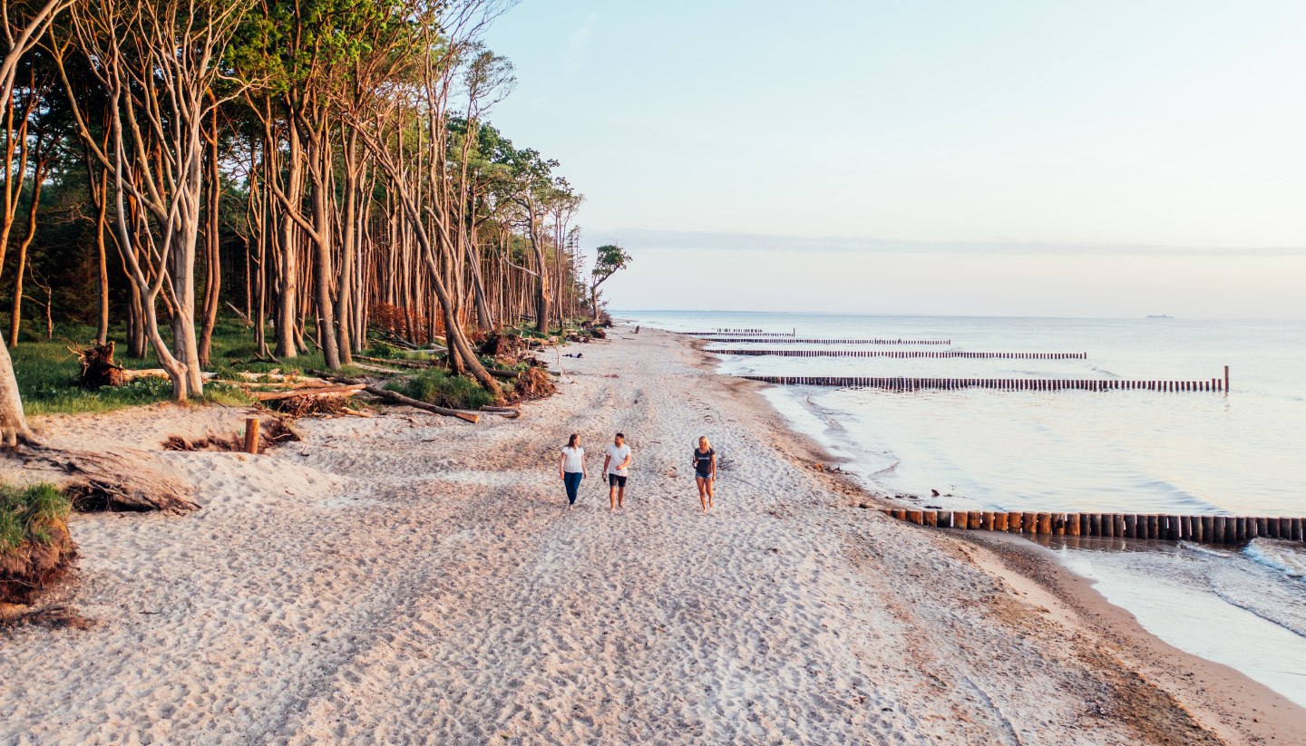 Drei Personen gehen am Strand spazieren. Auf der linken Seite befindet sich der Küstenwald und auf der rechten Seite ist die Ostsee. 