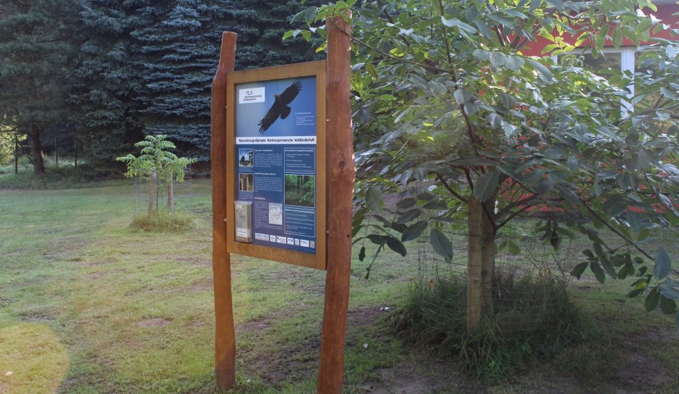 Infotafel Naturschutzgroßprojekt Nordvorpommersche Waldlandschaft, © Nicole Wasmund