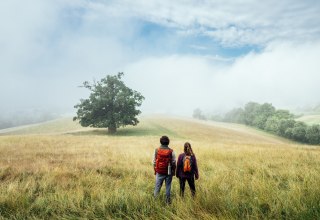 Wandern auf dem Naturparkweg durch die Landschaft der Mecklenburgischen Seenplatte beim Rötelberg, © TMV/Gänsicke