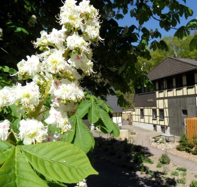 Dat Waldhus  im Frühling, © Steffen Tepasse