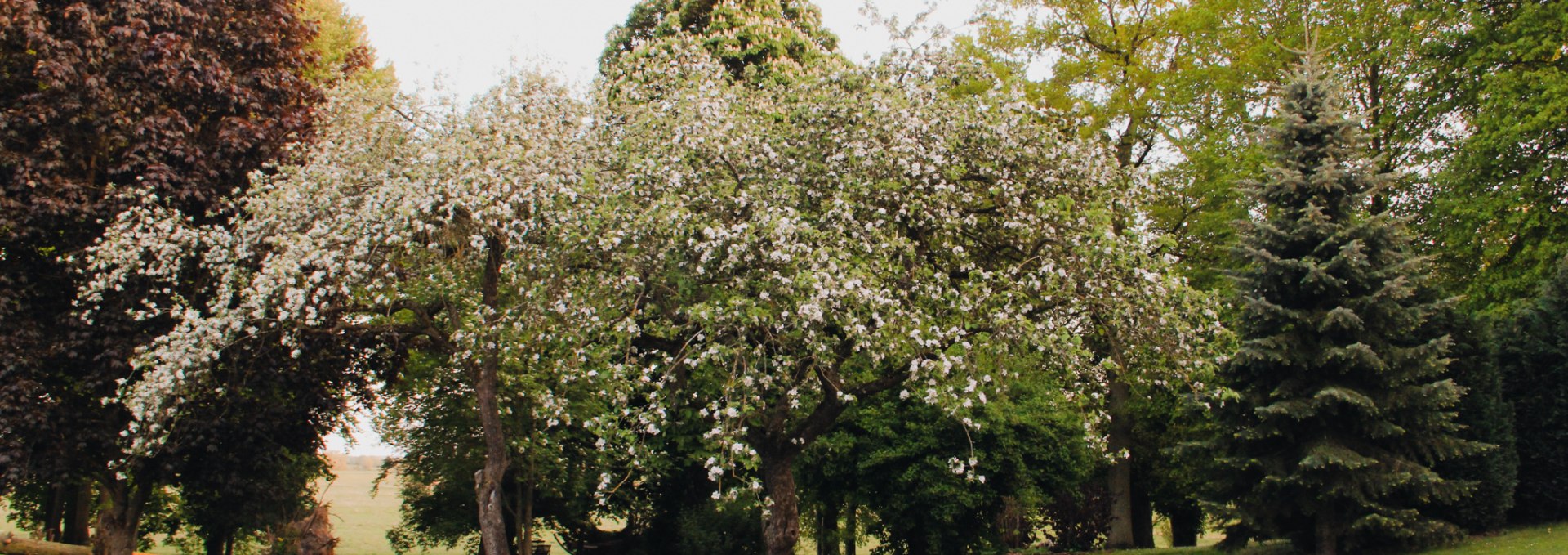 Gutshaus Gevezin - Park, © Iris Tischer