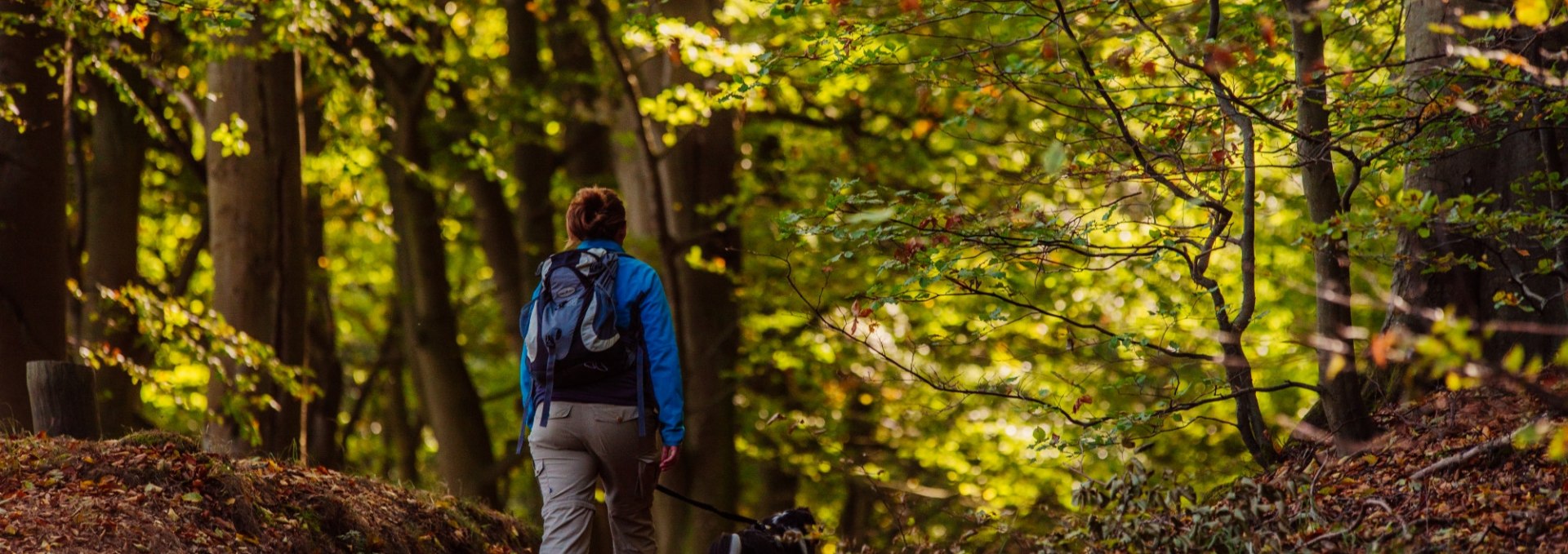 Wanderung: Mit dem Hund unterwegs, © Binzer Bucht Tourismus