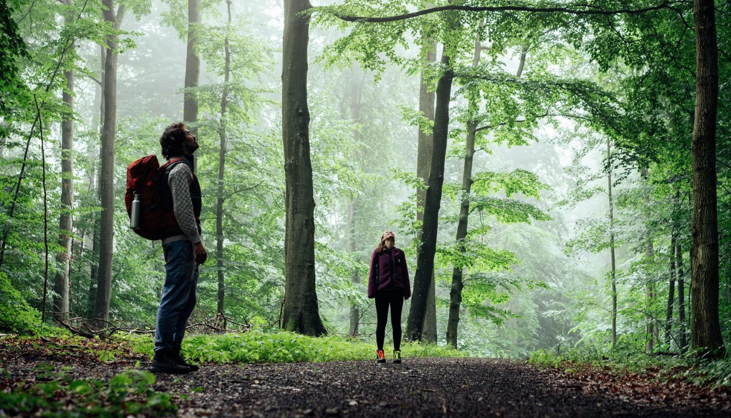 Ein Mann und eine Frau stehen in einem Wald und gucken zu den Baumwipfeln hoch