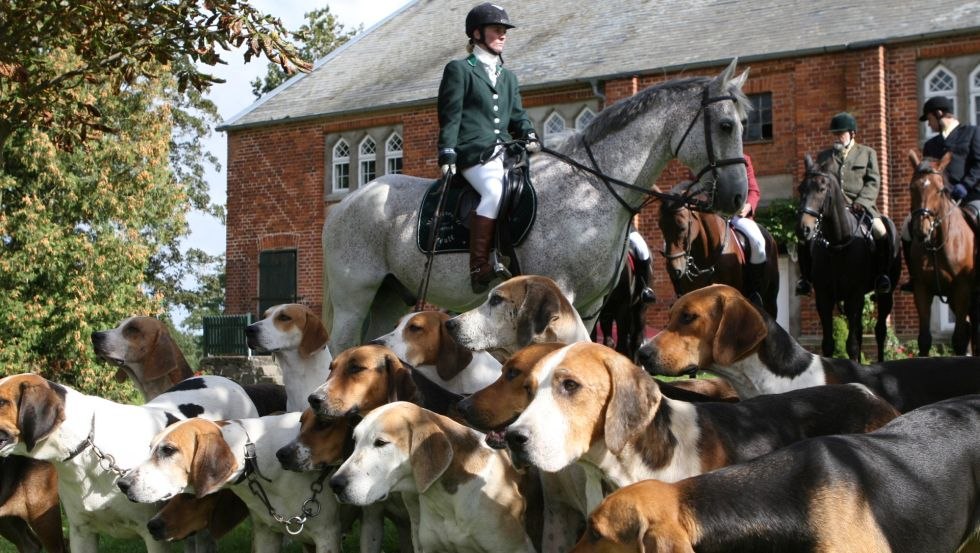 Mecklenburger Meute - Tauchen Sie ein in das Erlebnis Jagdreiten und den Einklang von Reiter, Pferd und Hund, © FerienGut Dalwitz