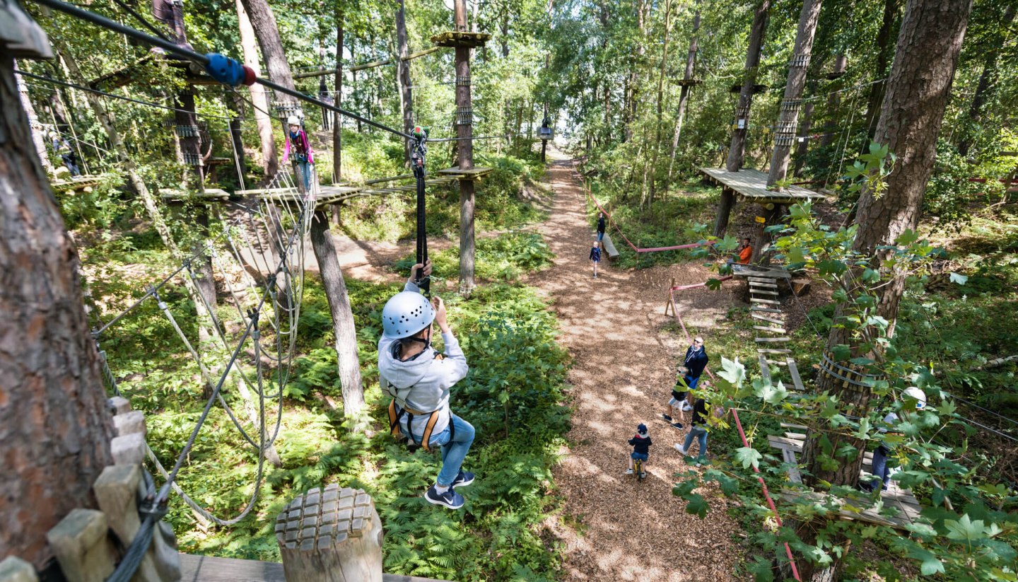 Der Kletterwald im Ostseebad Binz lockt Wagemutige in schwindelnde Höhe., © TMV/Tiemann