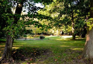 Kurpark Juliusruh, © Tourismuszentrale Rügen