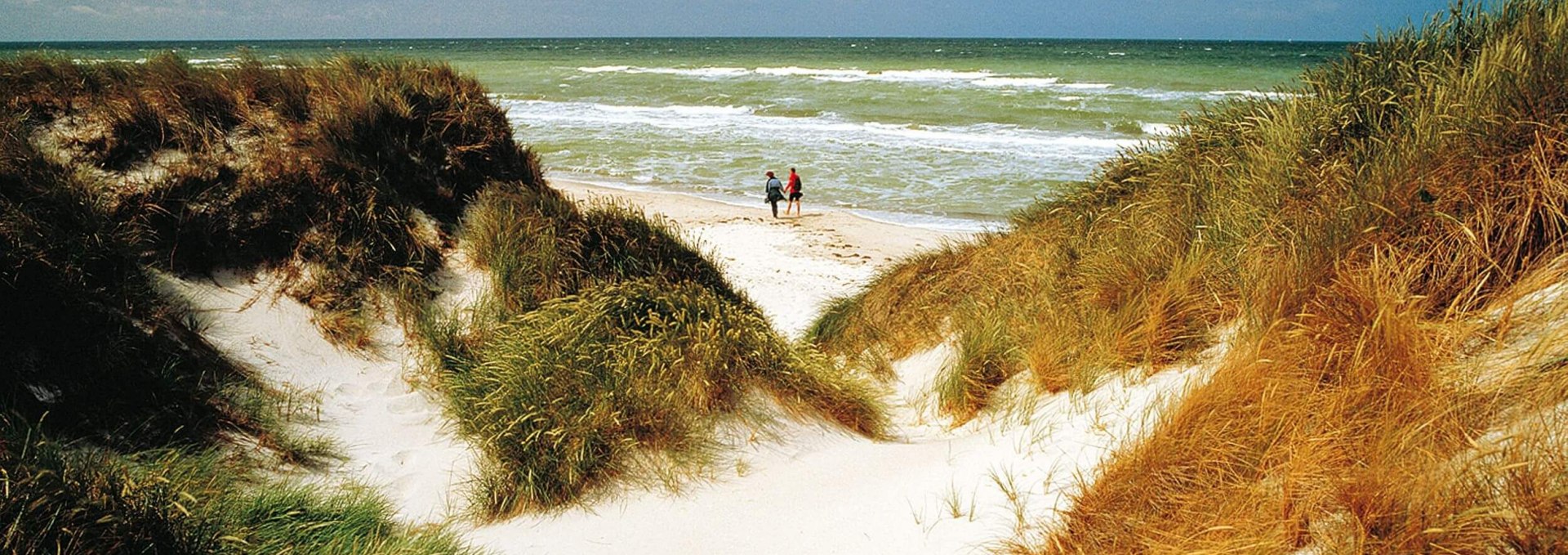 Natureindrücke von der Halbinsel Fischland-Darß-Zingst, © TMV/Grundner