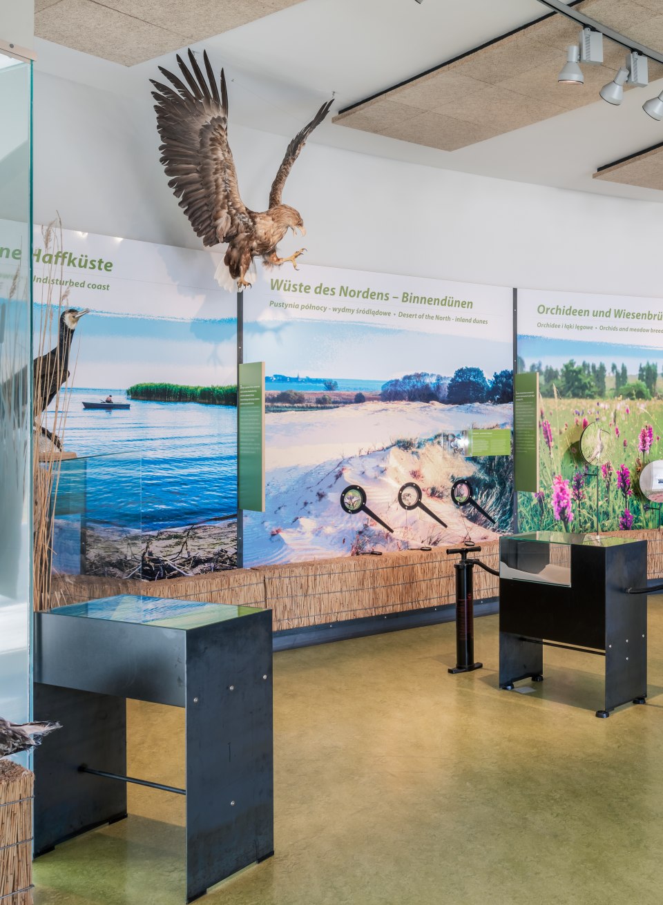 Ausstellung des Naturparks am Stettiner Haff, © TMV/Tiemann