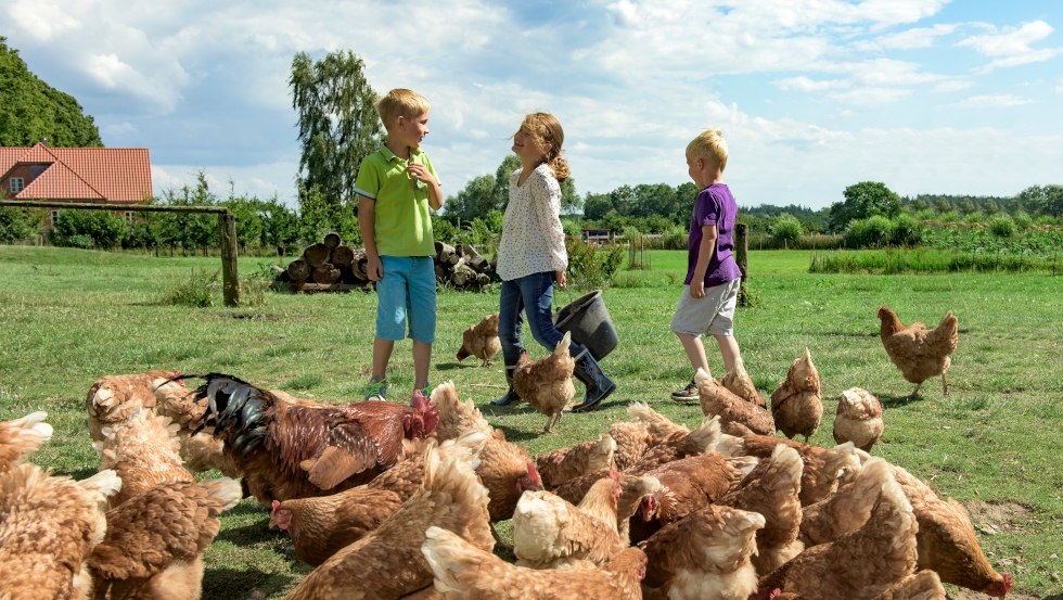 Drei Kinder lachen miteinander, während sie Hühner füttern., © TMV/Ulrich