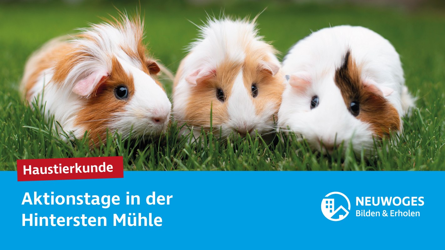 neuw-konzern_externe-komm_tierheim_aktionstage-24-haustierkunde, © Neuwoges