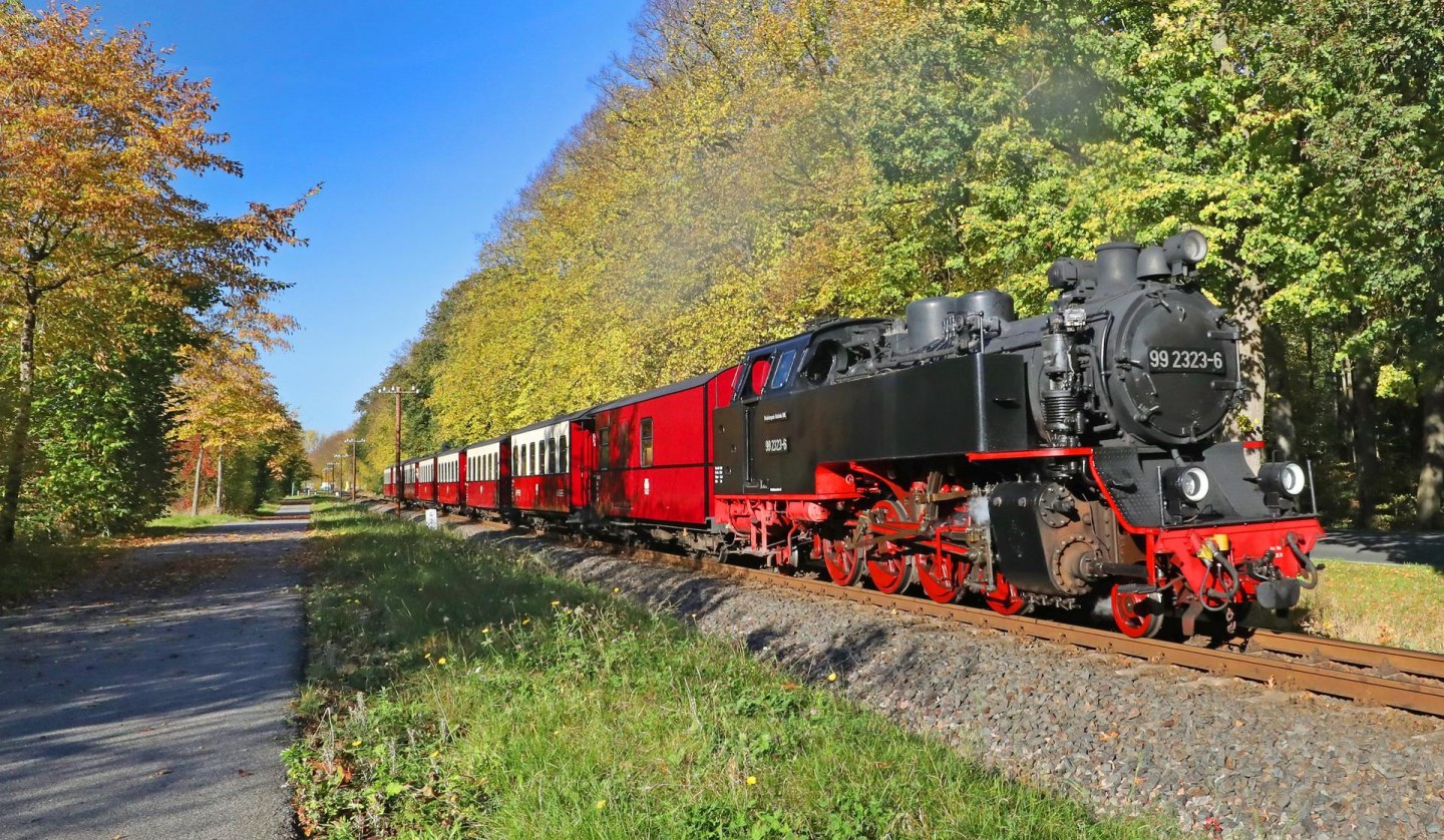 Der Molli zwischen Bad Doberan - Heiligendamm - Kühlungsborn, © TMV/Gohlke