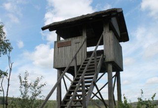 Aussichtsturm Großer Serrahnsee, © TMV/Bodieschek