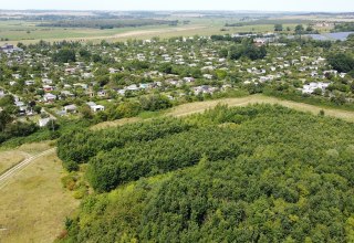 Klimawald Neubrandenburg-Nettelkuhl, © Landesforst MV