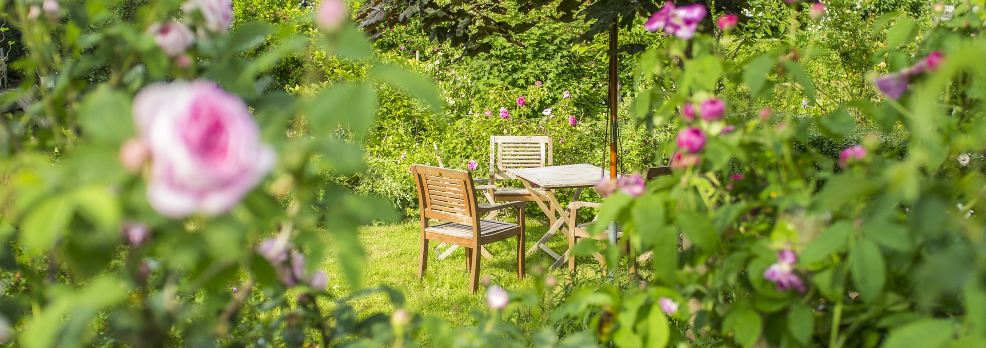 Im Rosengarten des Gutshaus Altbauhof, © Gutshaus Altbauhof / Tim Kellner