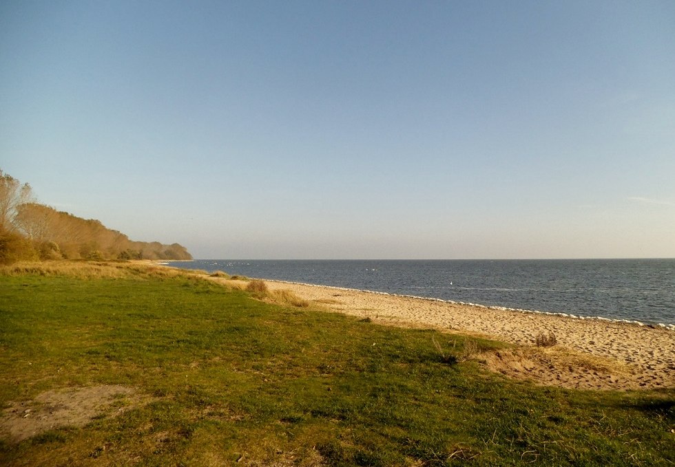 Ein Stück "Palmer Ort" auf der Halbinsel Zudar., © Tourismuszentrale Rügen