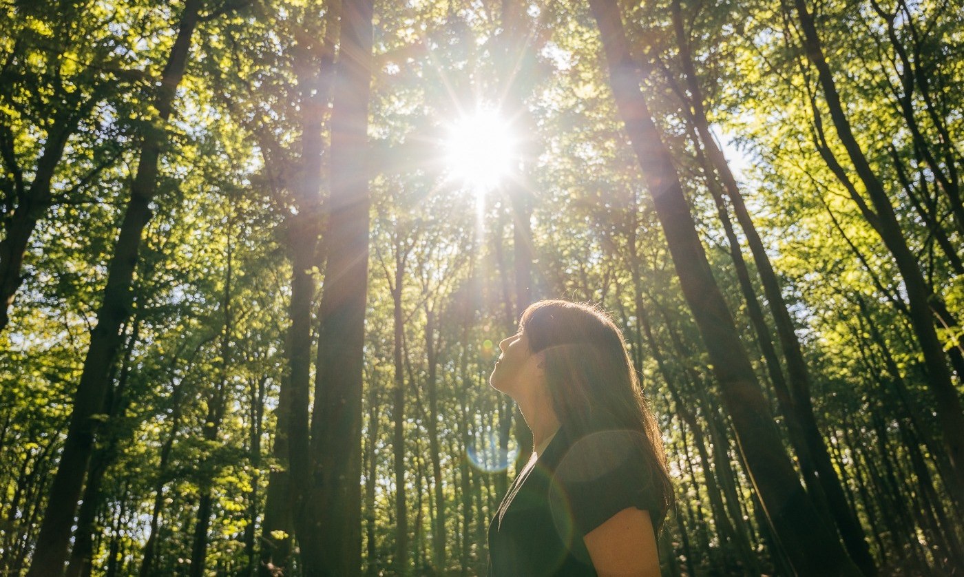 Waldbaden: Shinrin Yoku, © Binzer Bucht Tourismus | Christian Thiele