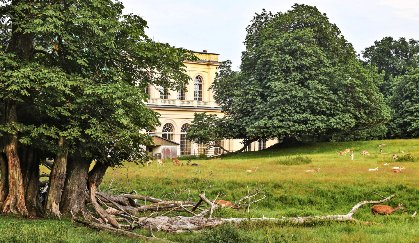 schlosspark-zu-putbus_1, © TMV/Gohlke