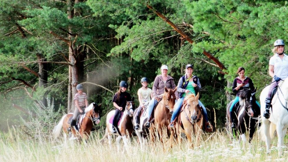 Mit der Reitanlage Mühlenberg tolle Ausritte durch die Lewitz erleben, © Reitanlage Mühlenberg/ Mario Mühlenberg