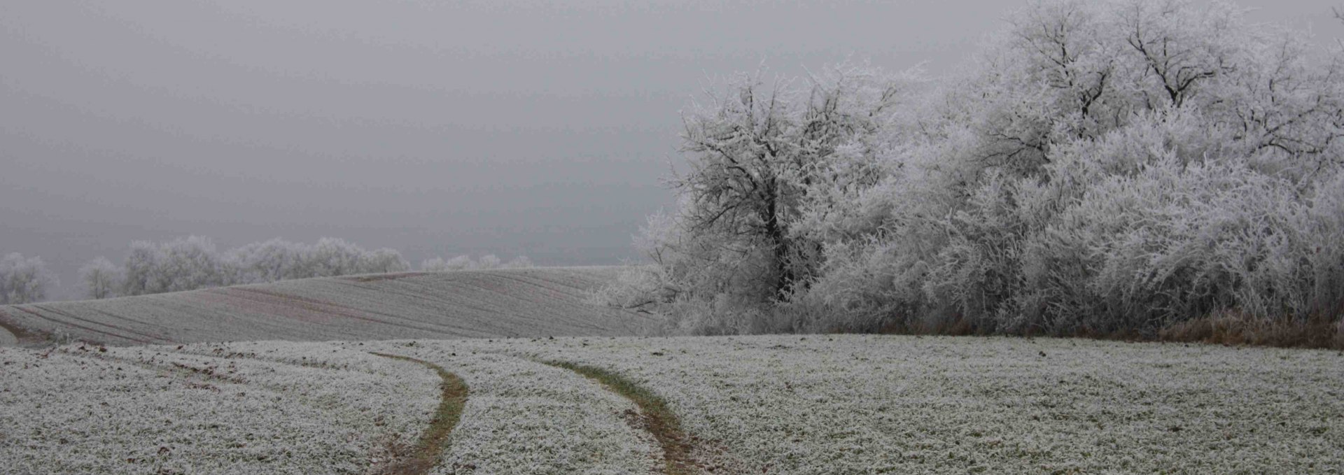 Winterliche Landschaft, © Gudrun Marin-Ziegler