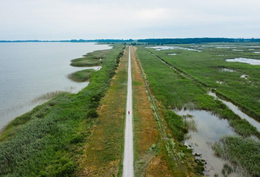 Eine der Lieblingsstrecken von Anne Schönrock führt über die Steilküste von Ahrenshoop, © TMV/Gänsicke