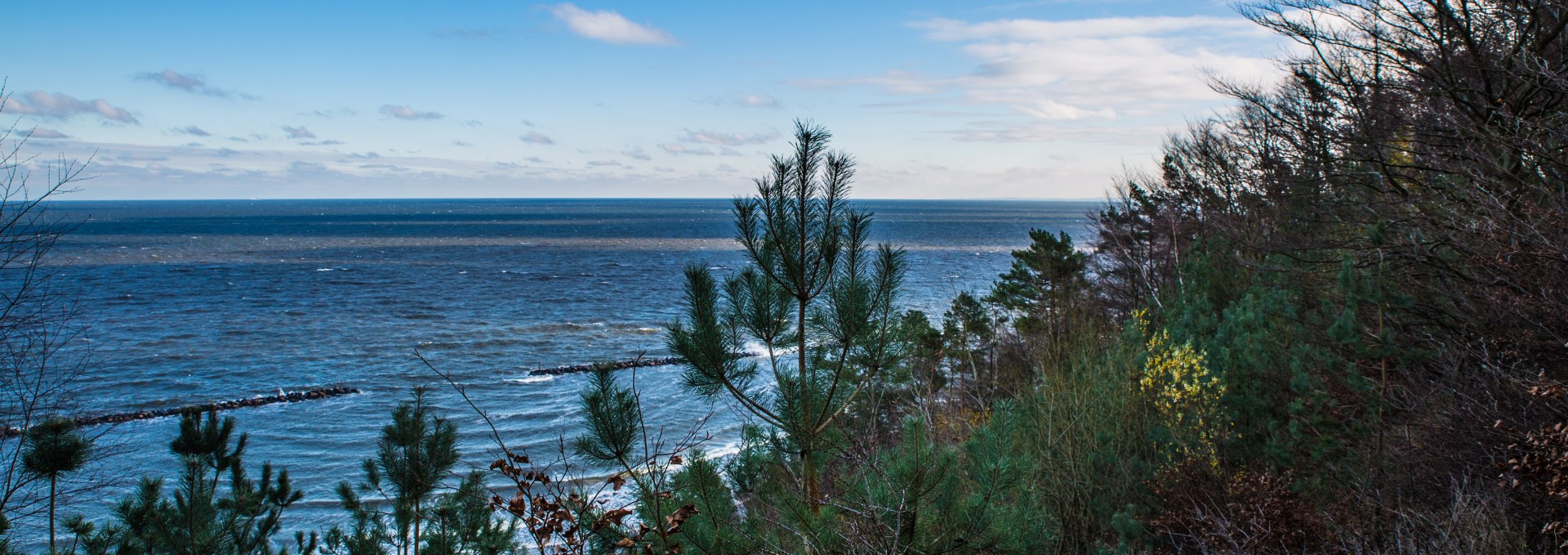 Wanderung mit dem Revierförster, © insel-fotograf.eu, Andreas Dumke