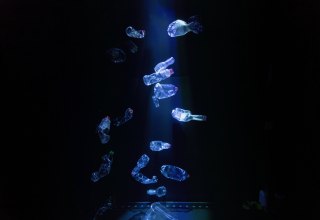 Im OZEANEUM können Gäste einen Plastikmüllstrudel im Aquarium beobachten. (Foto: Anke Neumeister/Deutsches Meeresmuseum)