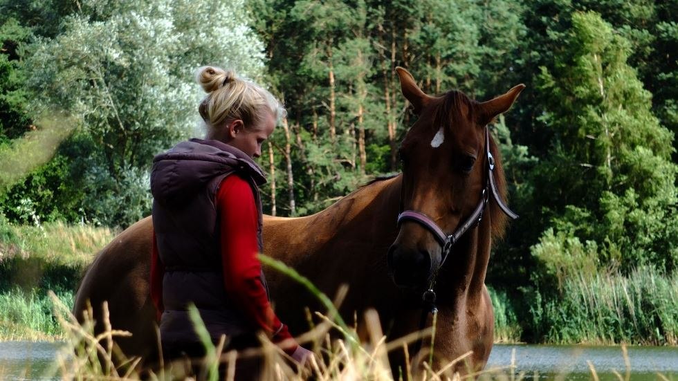 Auf der Reitanlage Mühlenberg können im "Reiter Camp" in kleinen Gruppen tolle Reiterferien verbracht werden, © Reitanlage Mühlenberg/ Mario Mühlenberg