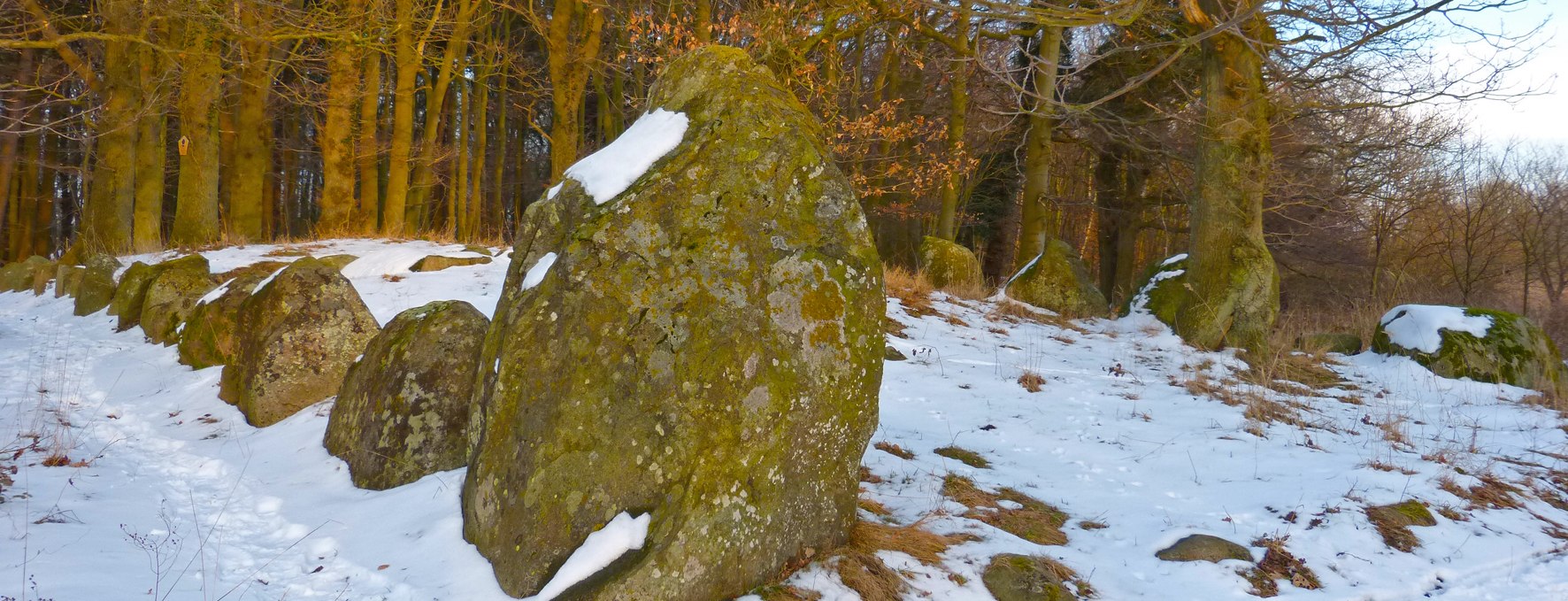 Das Hünengrab von Dwasieden aus der Zeit um 3000 v. Chr., © Archäo Tour Rügen