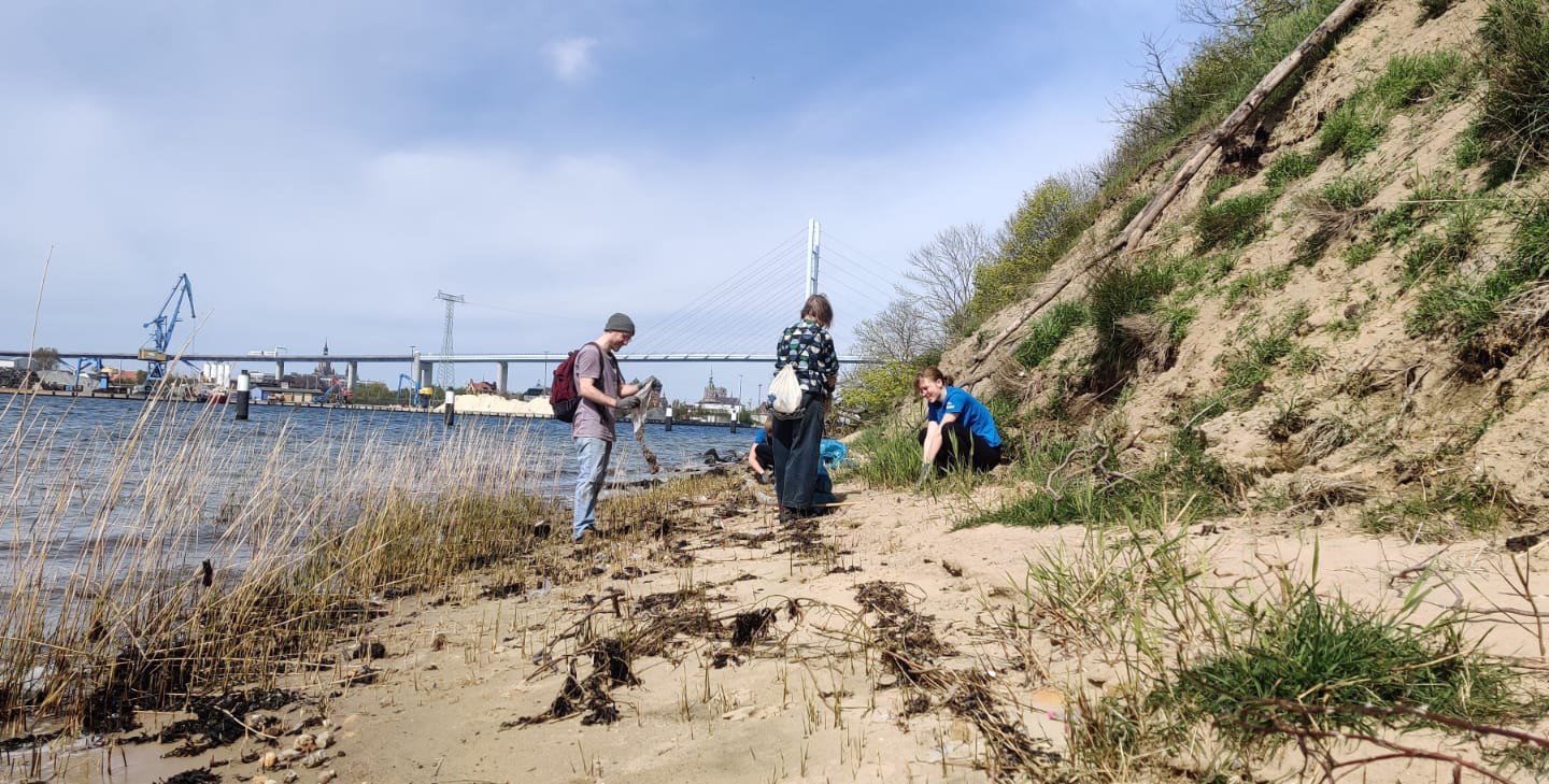 Freiwillige des NABU Stralsunds bei einer Müllsammelaktion., © NABU Stralsund