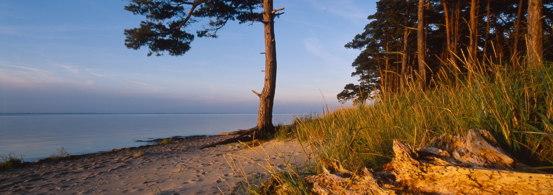 Strand Ludwigsburg in Abendstimmung, © TMV.Thomas Grundner