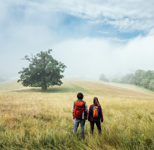 Wandern auf dem Naturparkweg durch die Landschaft der Mecklenburgischen Seenplatte beim Rötelberg, © TMV/Gänsicke