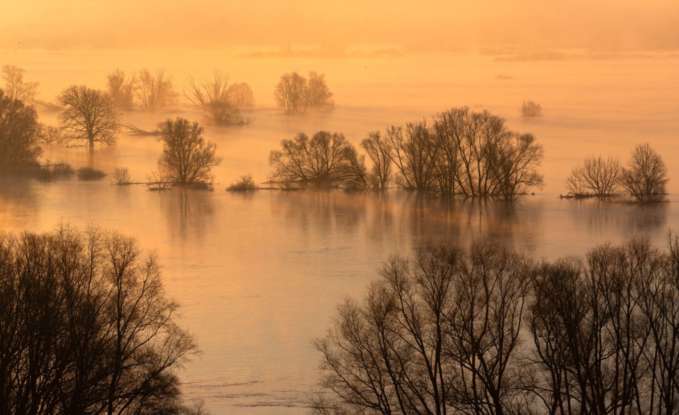 Elbaue bei Boizenburg, © Dirk Eisermann