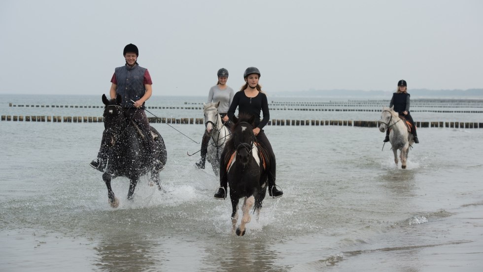 Erfrischung zu Pferde im Kühlen der Ostsee mit dem Reiterhof Gränert erleben., © TMV/ Frank Hafemann