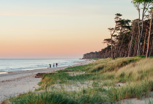 Ein idyllischer Spaziergang am Weststrand auf dem Darß: Drei Personen genießen den Sonnenuntergang, während die Küste in warmen Farben erstrahlt und die Natur zur Ruhe kommt.