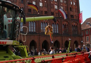 Mähdrescher vor dem Stralsunder Rathaus, © Hansestadt Stralsund