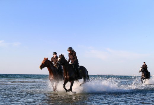 Angebote für den Reiturlaub in Mecklenburg-Vorpommern, © TMV/Pantel