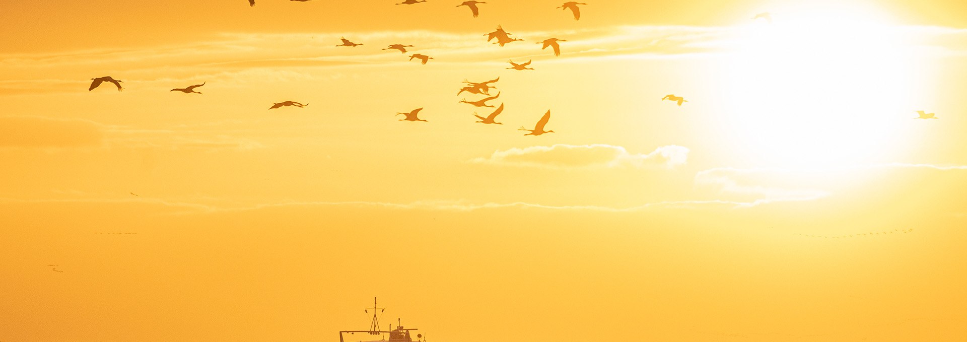 Kranichfahrten ab Hafen Zingst, © Weiße Flotte GmbH