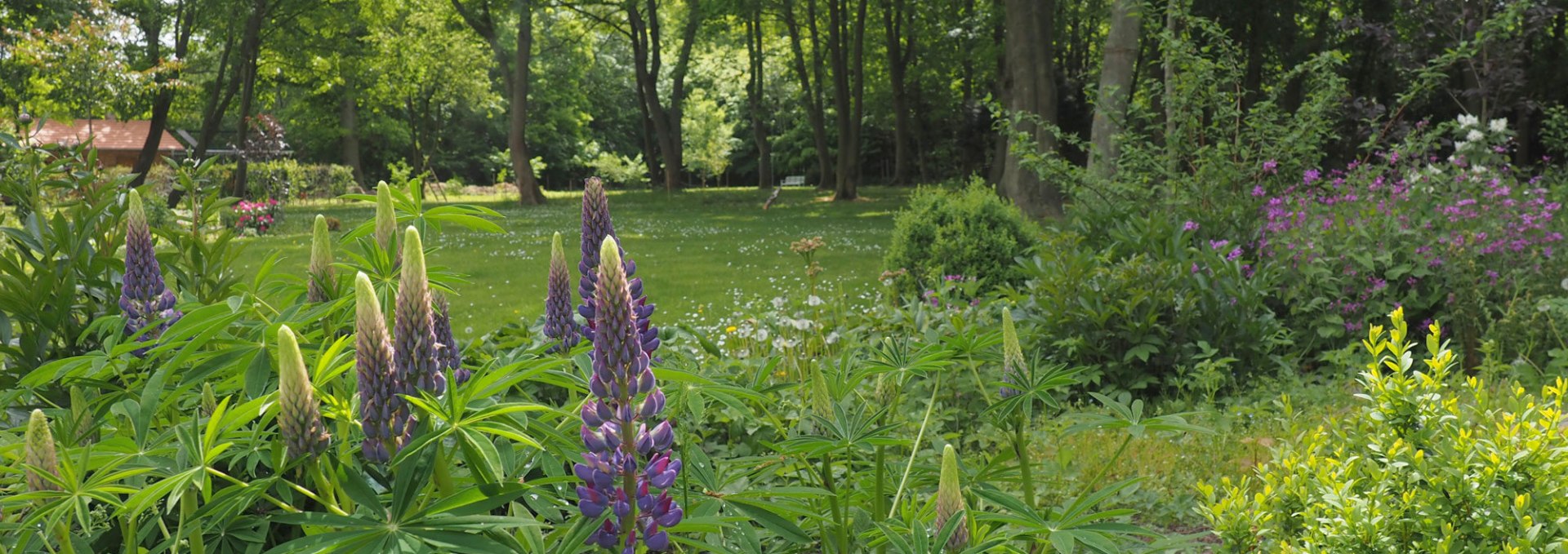 Blick in den Park, © Annelie Maiwald