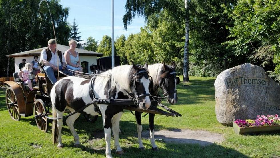 Start der Kutschfahrt, © Hof Thomsen