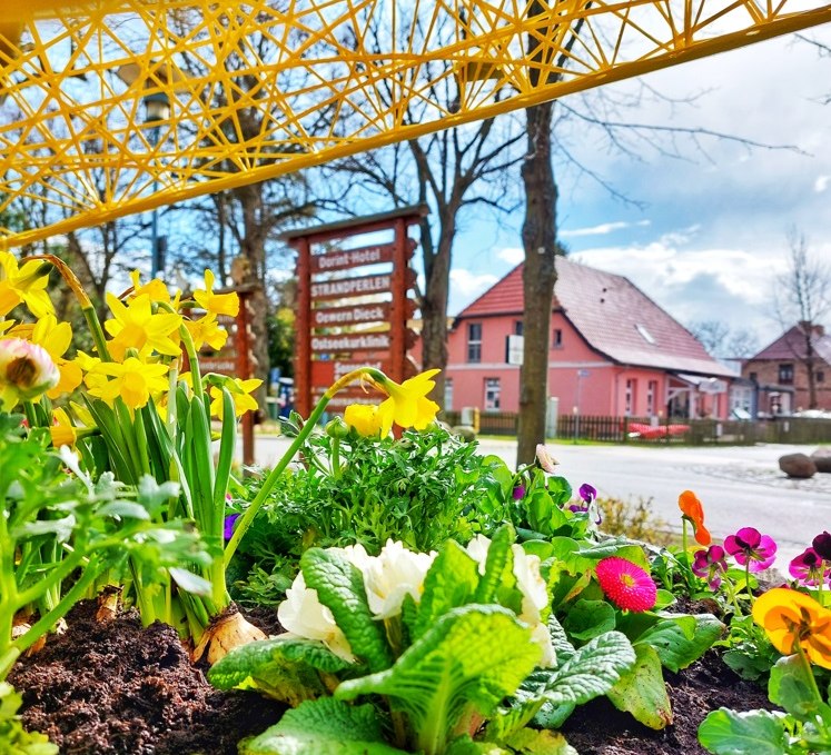 fruehjahrsputz_wustrow, © Kevin Schiemann / KVW Wustrow