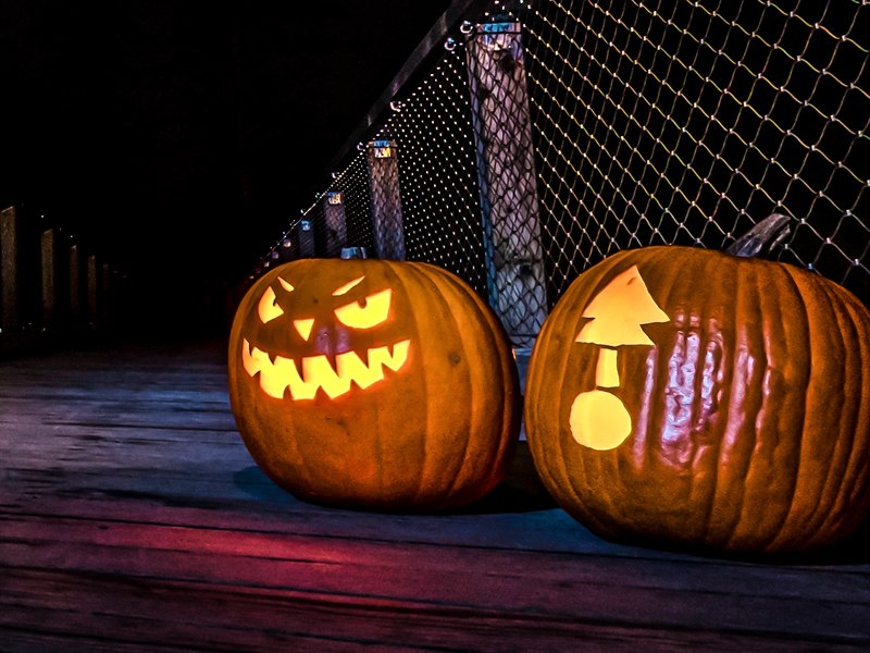 Halloween auf dem Baumwipfelpfad Usedom, © Erlebnis Akademie AG / Baumwipfelpfad Usedom