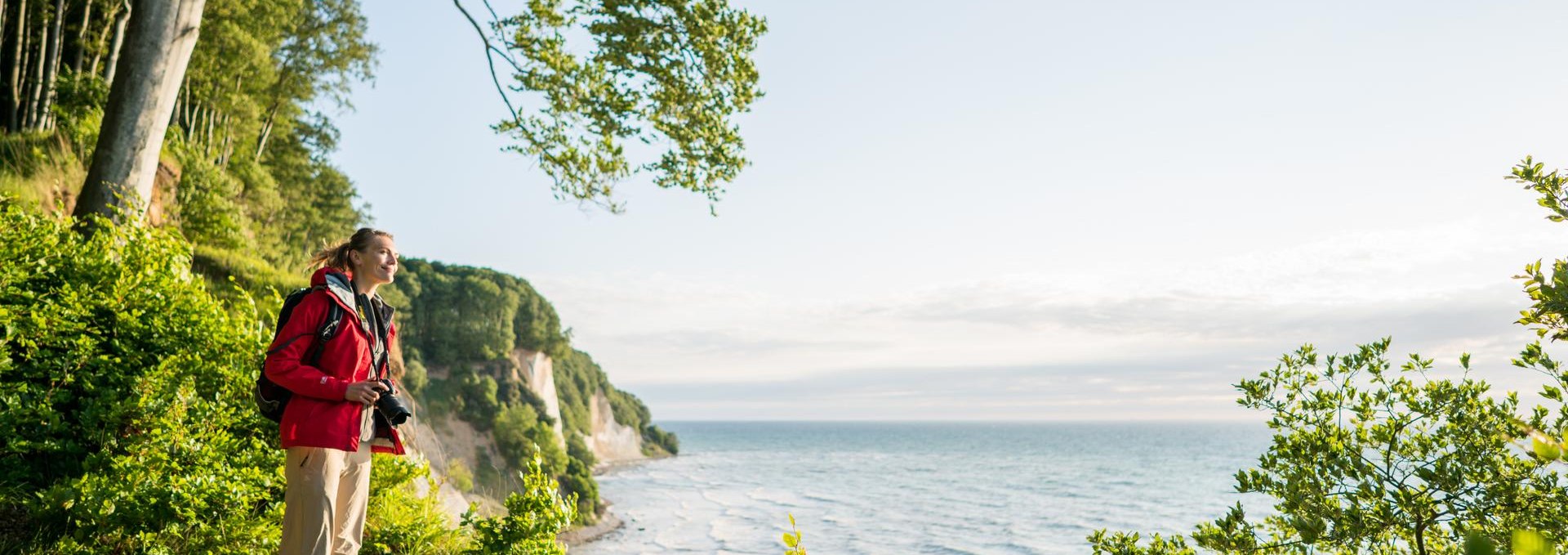 Wild und faszinierend: Die imposanten Kreidefelsen, ein zeitloses Symbol der Insel Rügen., © TMV/Roth