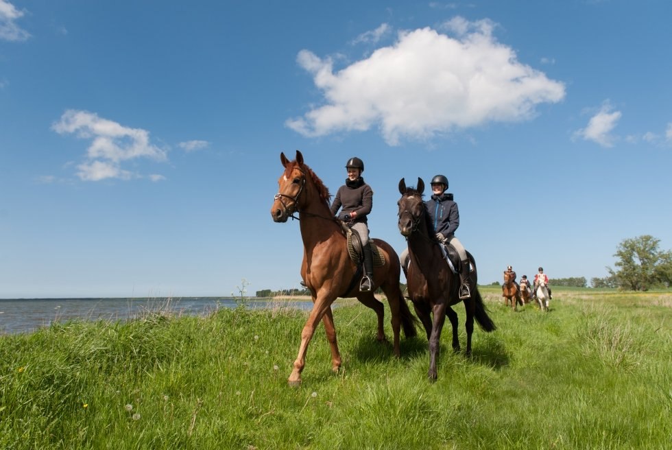 Zwischen Ostsee und Mecklenburgische Seenplatte durch das Land reiten, © TMV/Frank Hafemann