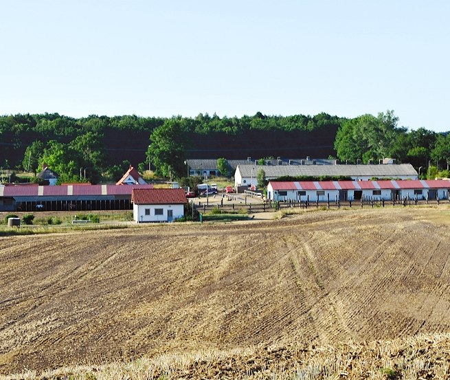 Zentral auf der Insel Rügen nahe der Ostseebäder gelegen: der Hof-Viervitz, © Hof-Viervitz/Hermann