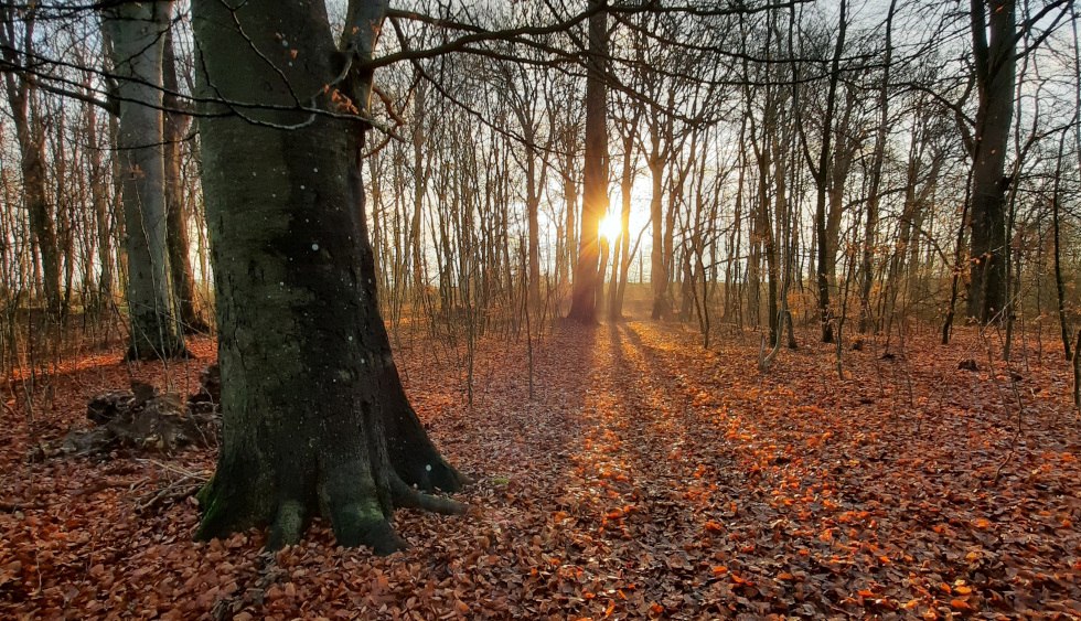 Gutspark-im-Herbst, © Familie Burmester