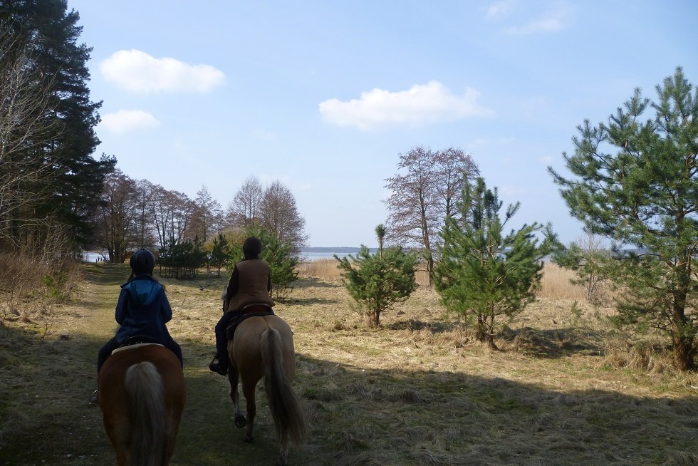 Direkt vom Fennhof auf dem Pferderücken durch die traumhafte Kulisse des Riether Winkels, © Fennhof/Steinhof