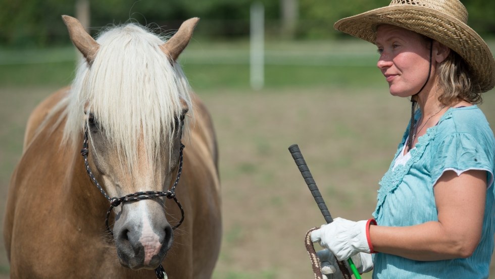 Reiten und Meer: Über die Bodenarbeit wird eine entspannte und vertrauensvolle Atmosphäre zum Pferd aufgebaut., © TMV/ Hafemann