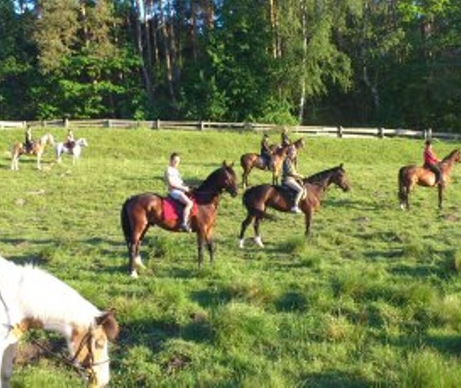 Mit dem Verein MP Horse Stables Dobbertin einen Wanderritt in der Gruppe genießen, © MP Horse Stables Dobbertin/ Maria Michaelis